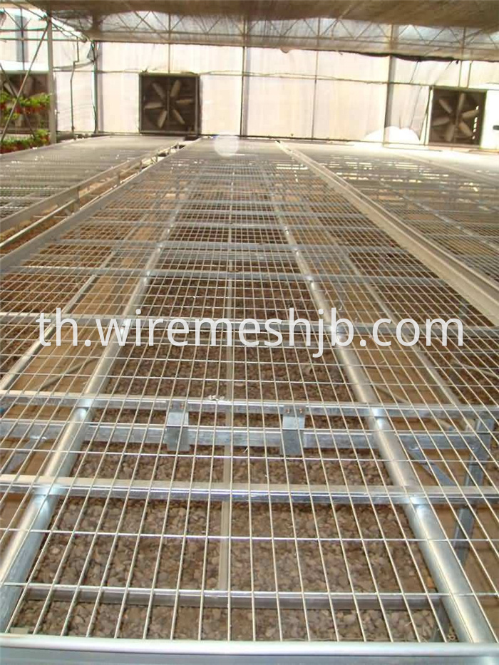 Galvanized Welded Mesh Sheets